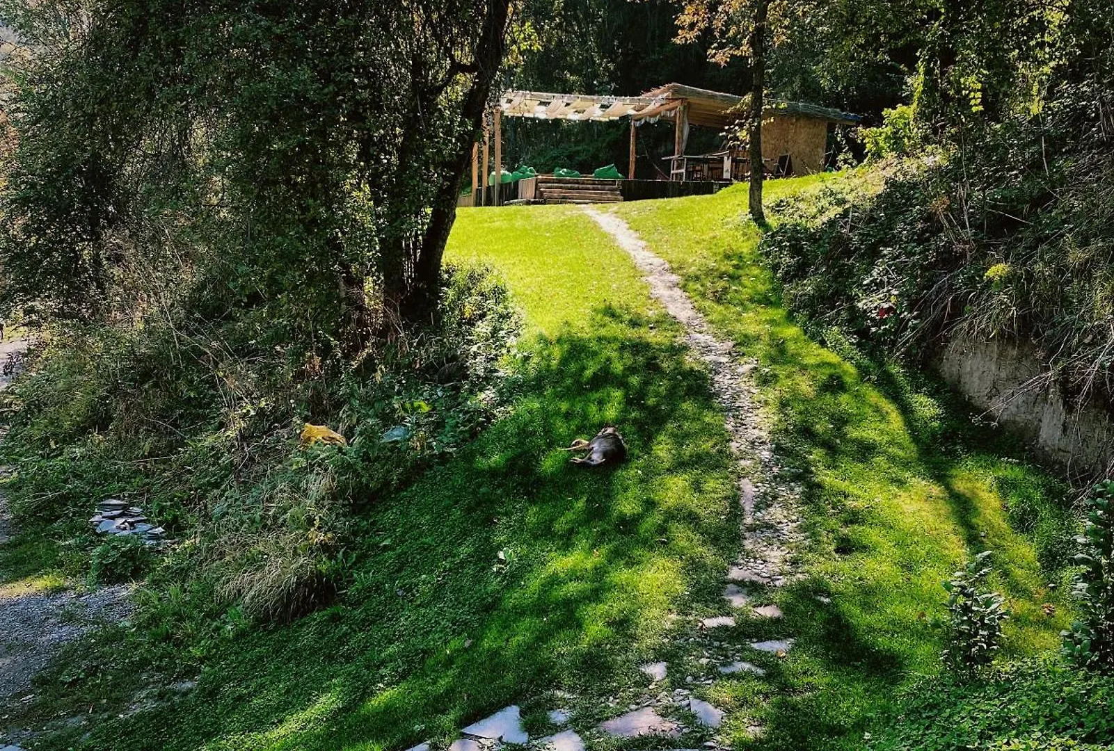 Sabay Sai Wooden Guesthouse In The National Park Almaty Guest house